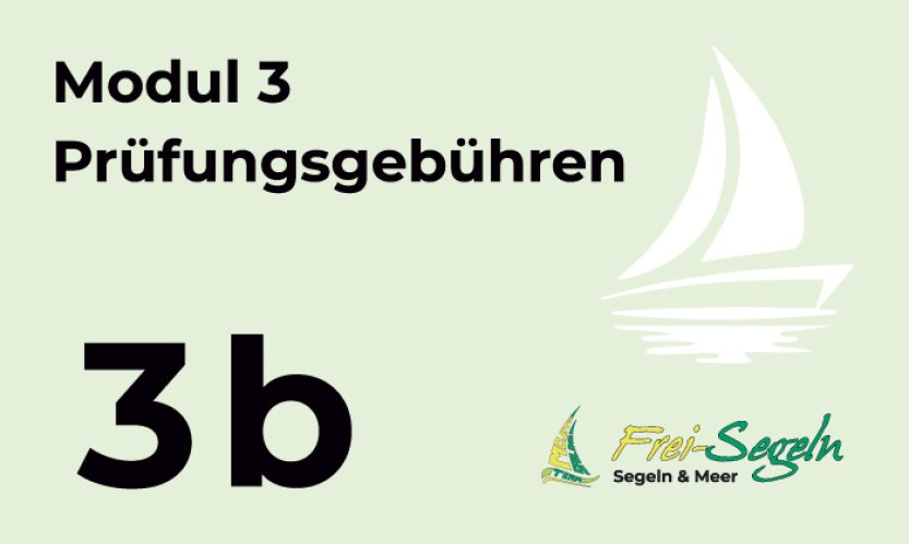 3b6